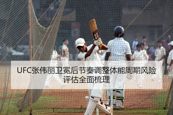 zhang-wei-li-wei-mian-hou-jie-zou-tiao-zheng-ti-neng-zhou-qi-feng-xian-ping-gu-quan-mian-shu-li-2-108.jpg